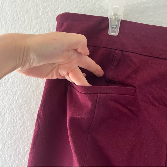 Anthropologie The Essential Slim Wine Red Striped Trouser Pants Size 10 - Picture 13 of 16